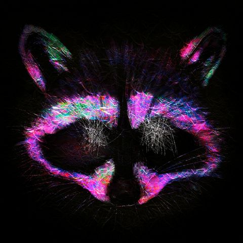 The head of a raccoon in the style of a scratch painting. It is drawn in vibrant colors on a black background, dominated by magenta. The eyes are scratched out.